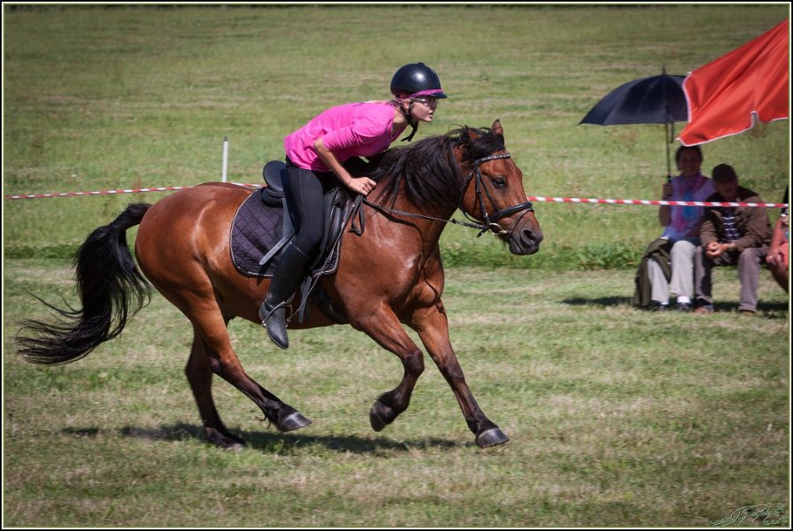 Mounted Games 272